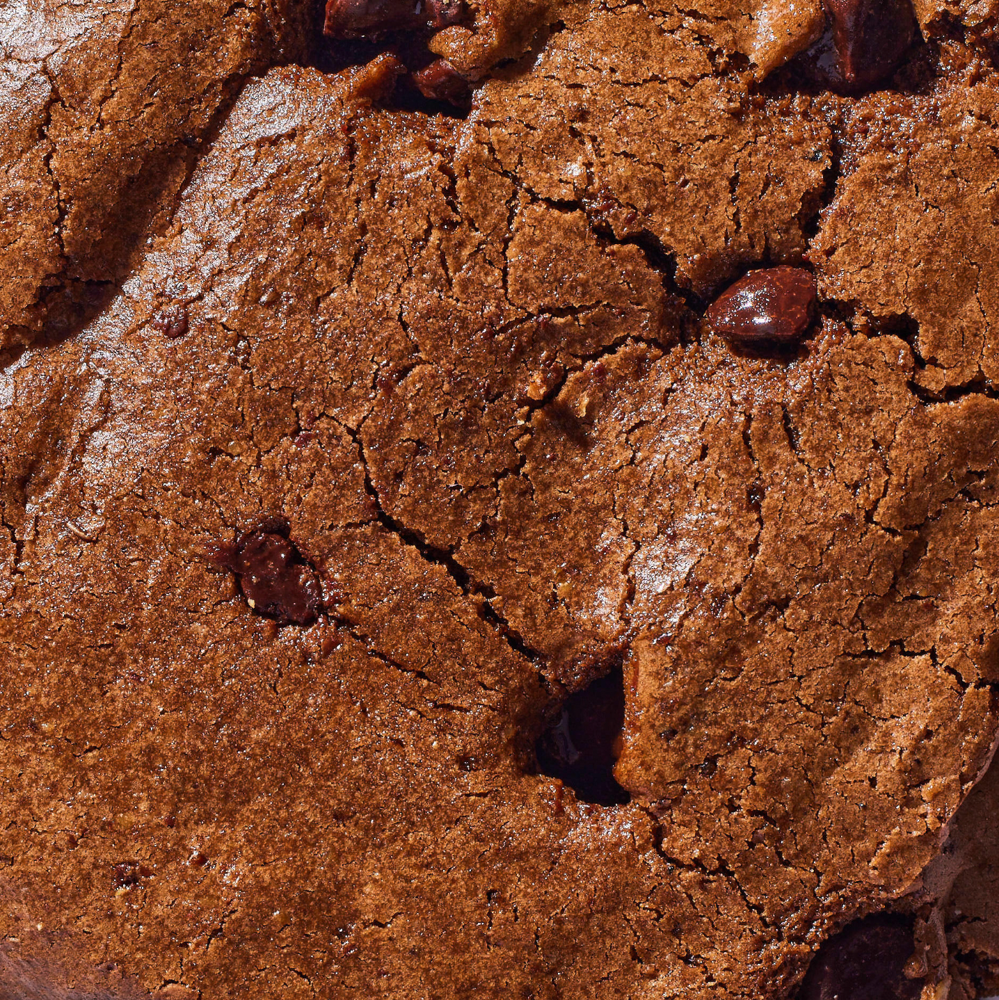 Toto - Double Chocolate Chip