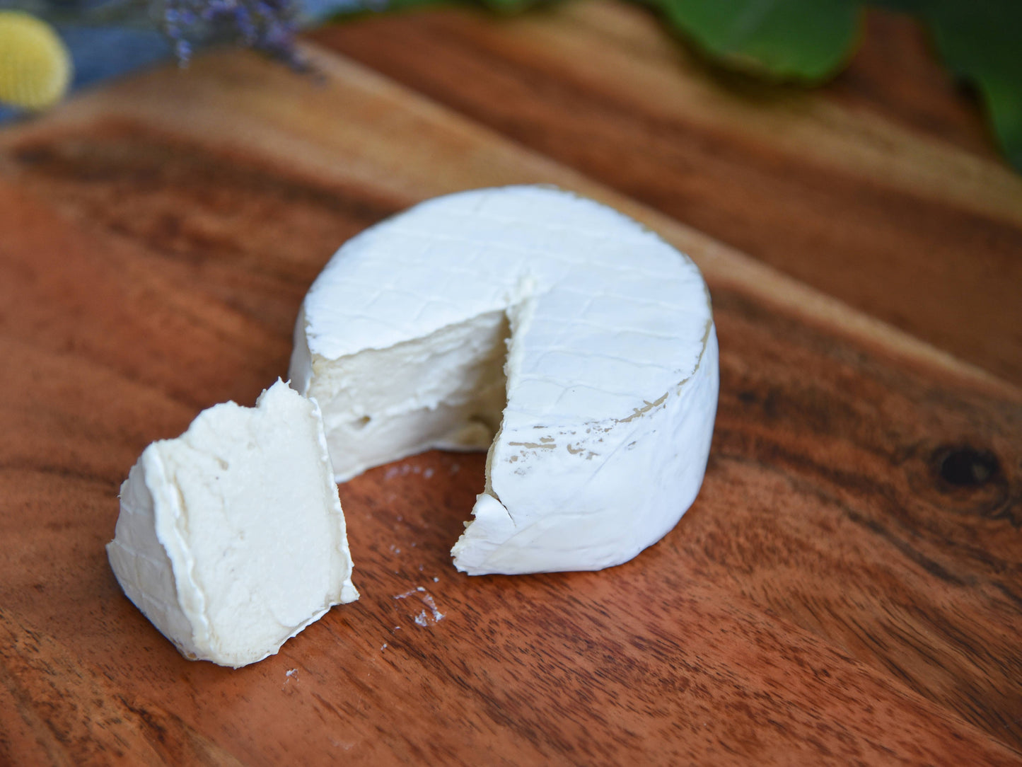 Rebel Cheese - Cave-Aged Brie