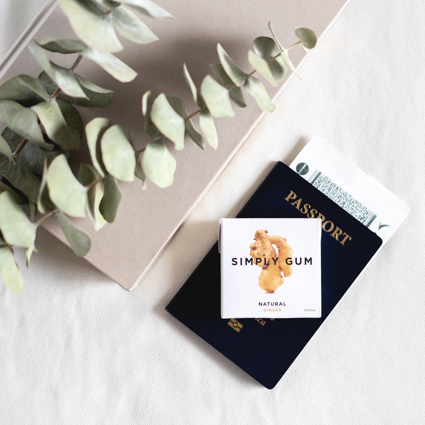 Simply Gum - Ginger Chewing Gum - Natural + Plastic-Free