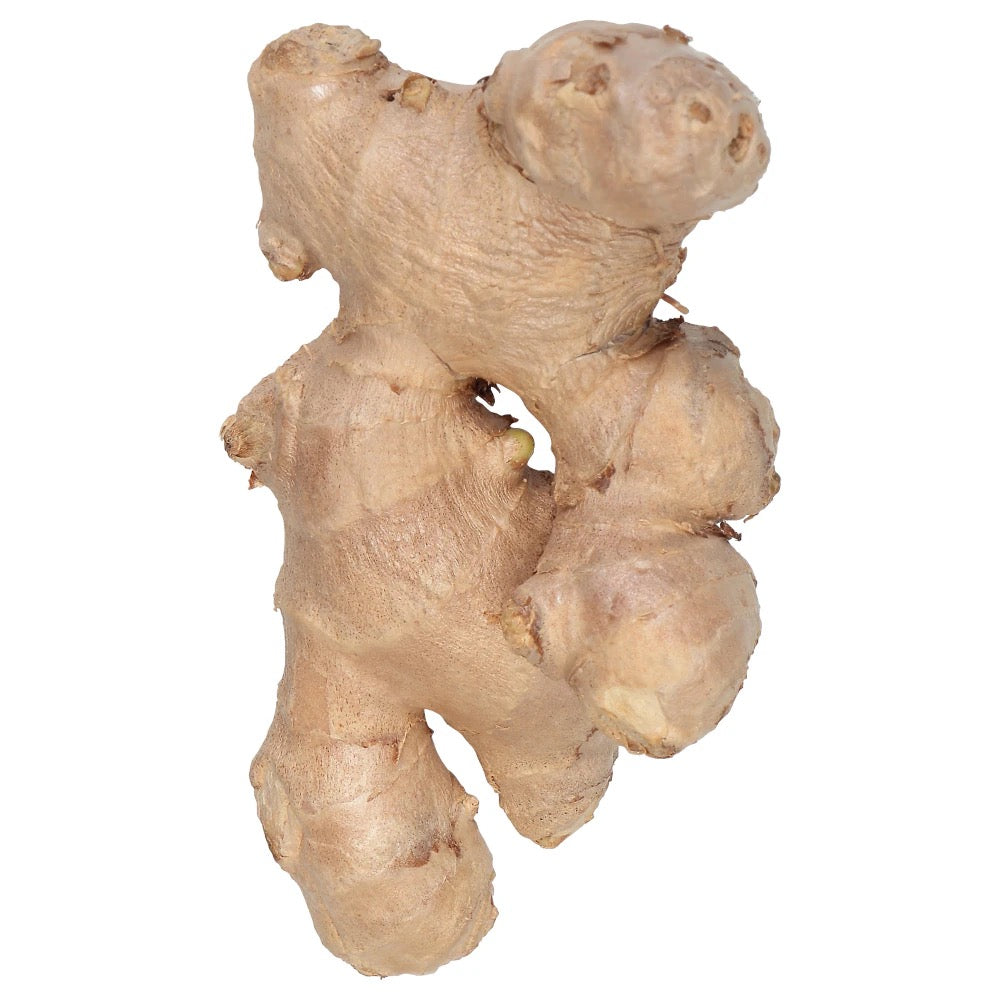 Ginger