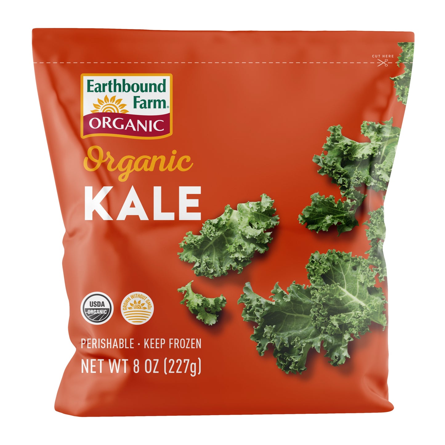 EarthBound - Kale