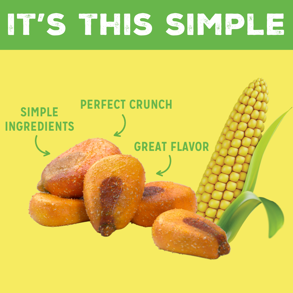 LOVE CORN - Sour Cream & Onion