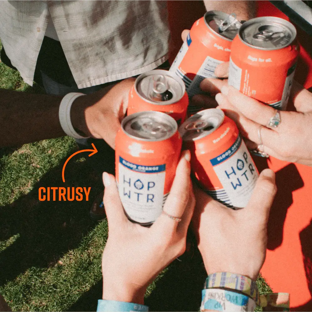 HOPWTR - Blood Orange Sparkling Hop Water