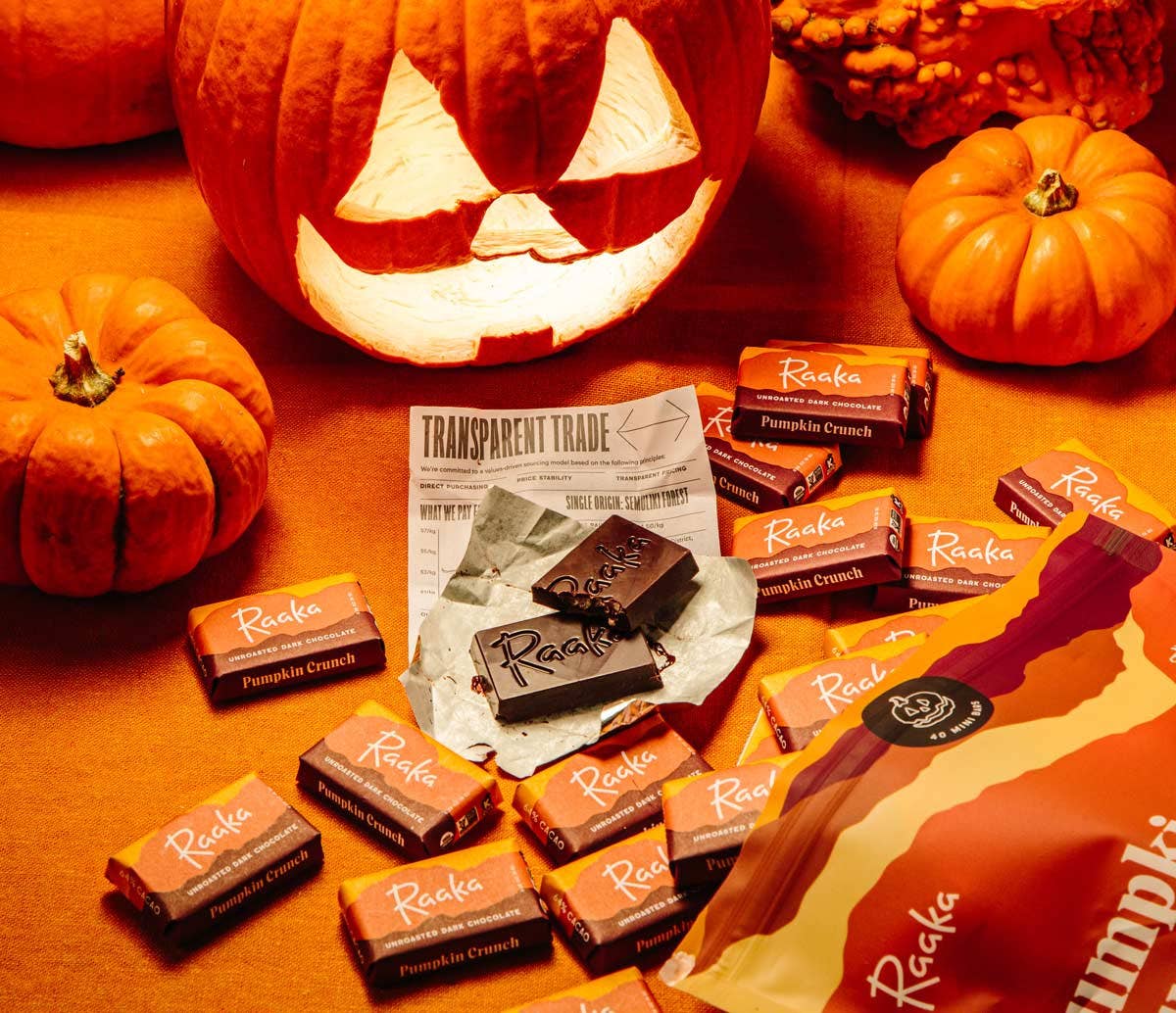 Raaka Chocolate - Pumpkin Crunch Mini Chocolate Bars - Fall Halloween Limited