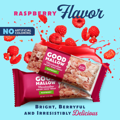 Snackatere - Vegan Rice Crispy Treats Individually Wrapped Box of 8: Vanilla