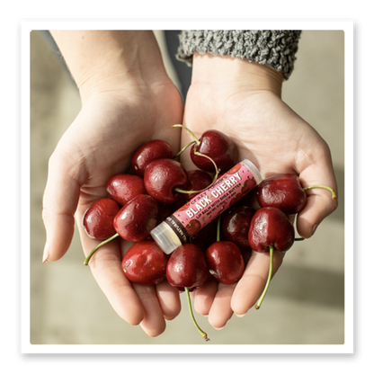 Crazy Rumors - Black Cherry Lip Balm - 12 ct Display