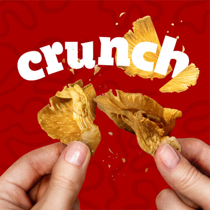 EVIL SNACKS - Crunchy Mushroom Chips Original Umami Flavor 2oz