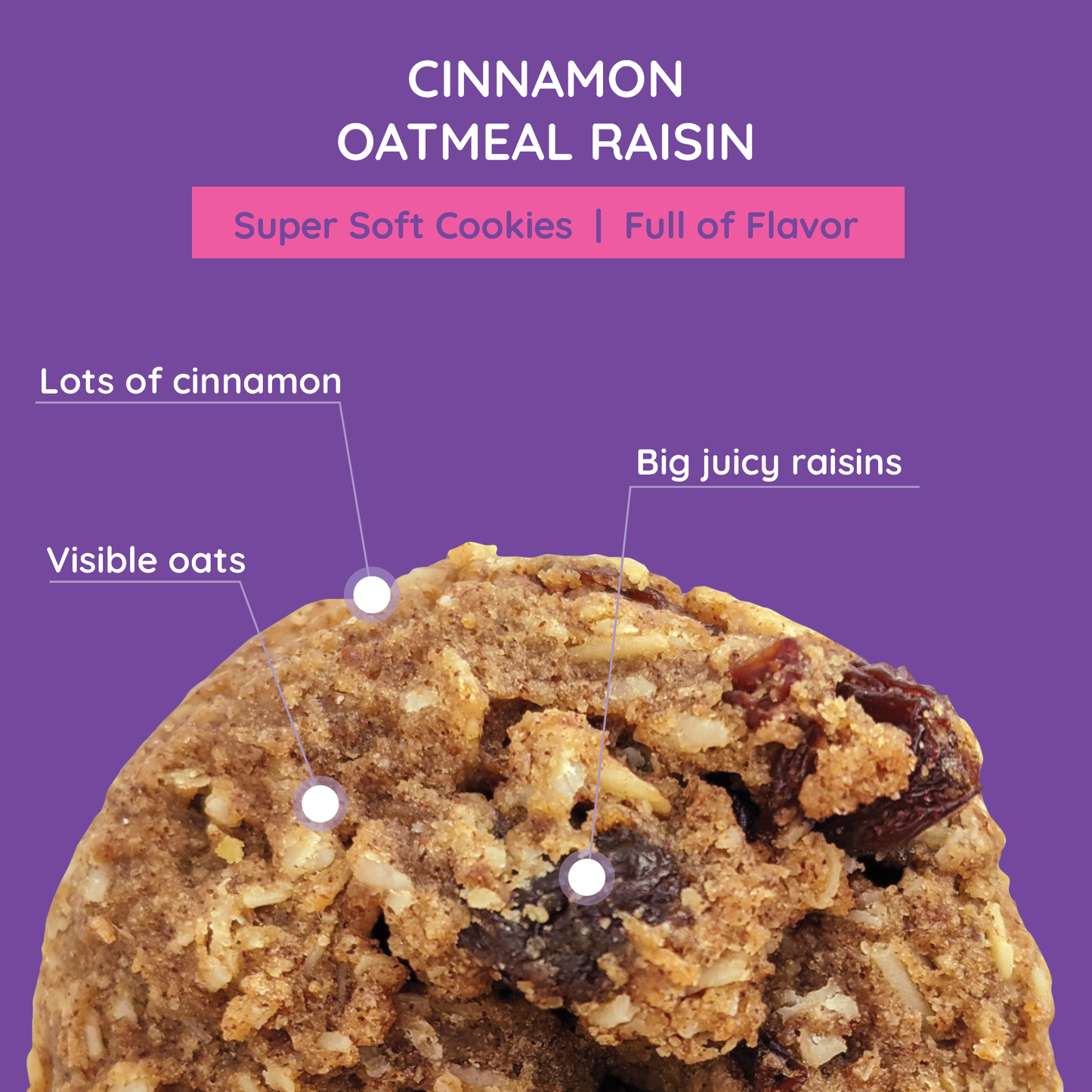 Maxine's Heavenly - Soft Baked Cinnamon Oatmeal Raisin Cookies