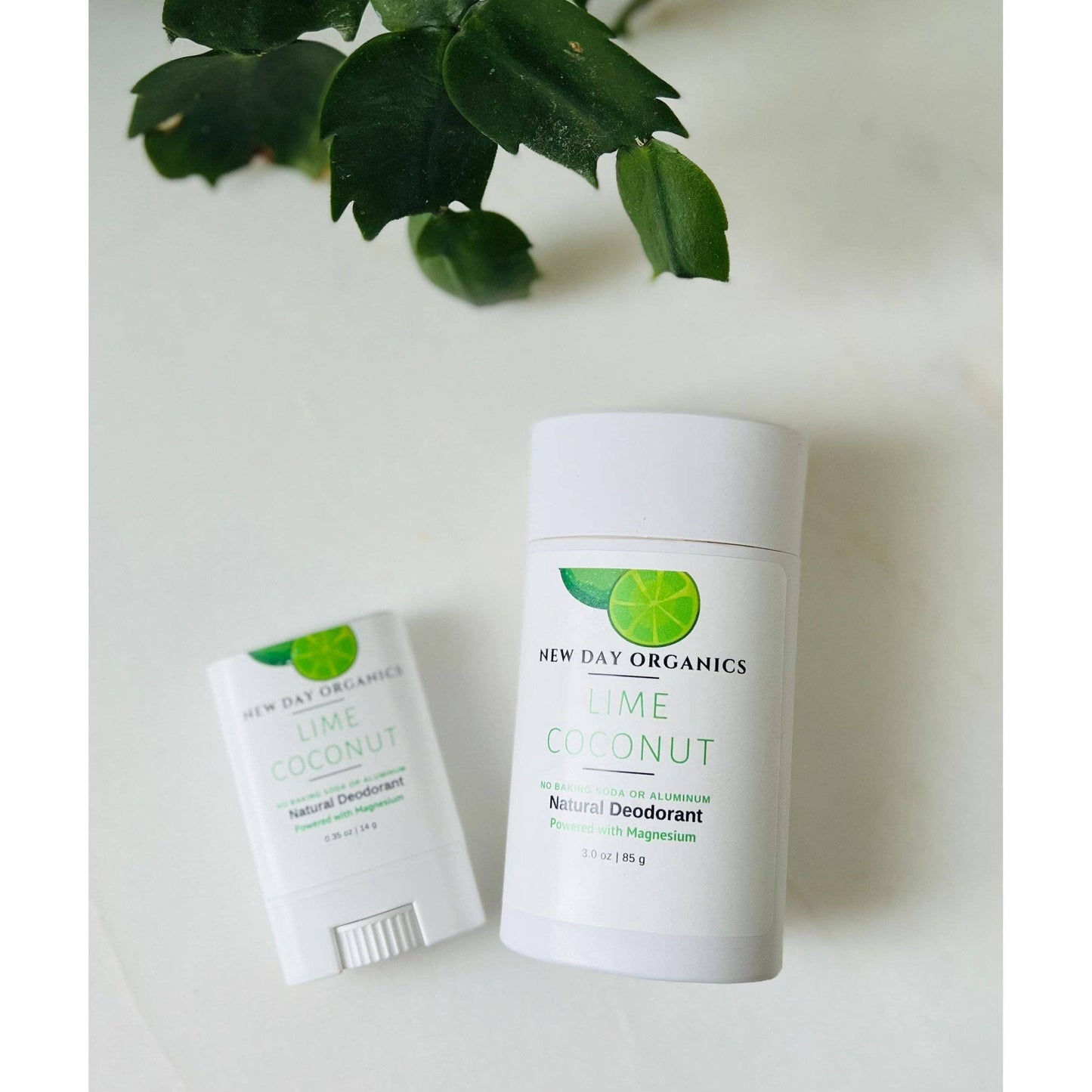 New Day Organics LLC - All Natural Deodorant: Citrus Grove / Regular - 2.50 OZ