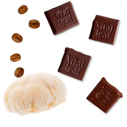 Vital Leaf - Mocha Magic Dark Chocolate Mini Bar | Lion's Mane + Tremella + Tocos |