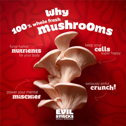 EVIL SNACKS - Crunchy Mushroom Chips Original Umami Flavor 2oz