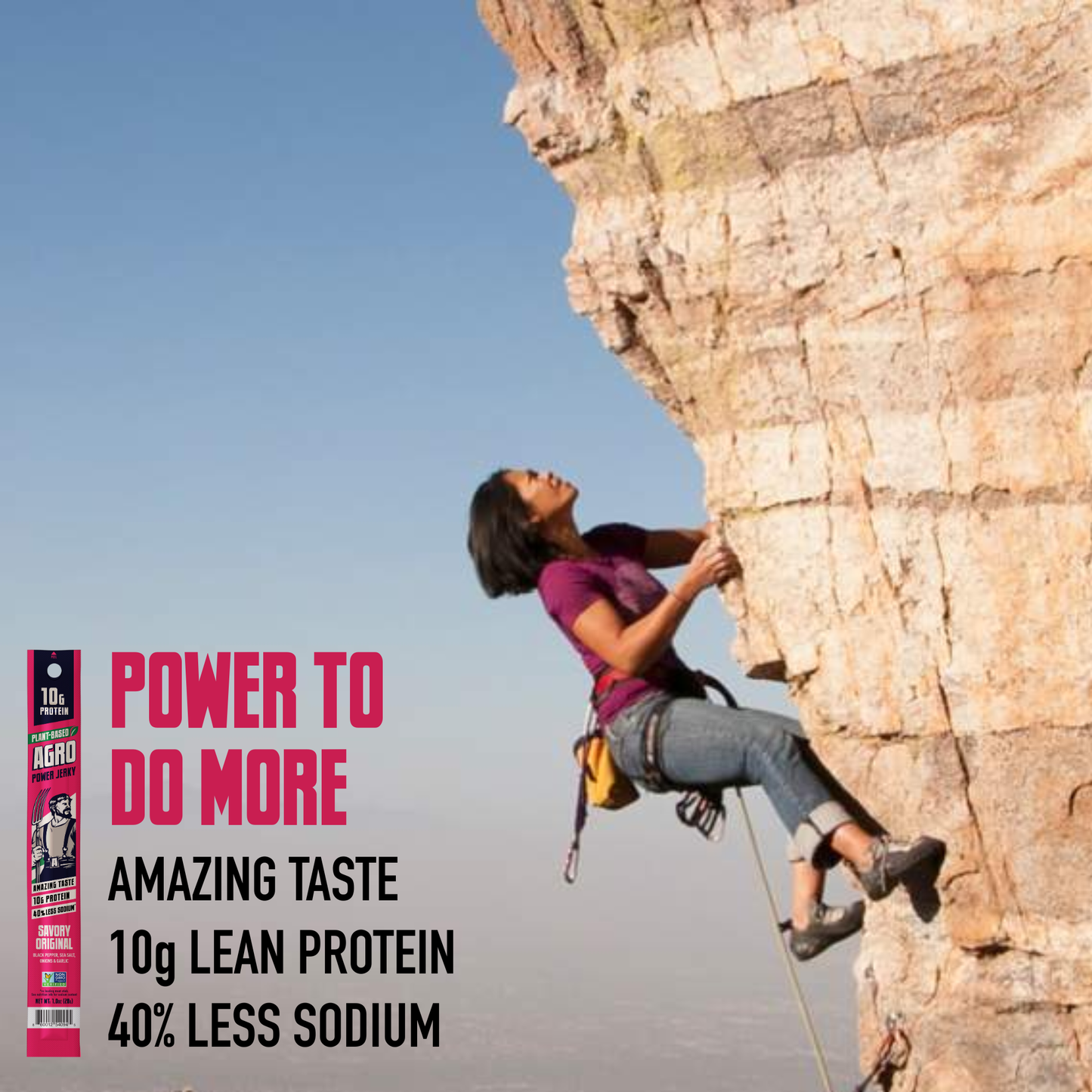 AGRO POWER Jerky - AGRO POWER Sticks Caddy - Vegan- Savory Original (16 x 1oz)