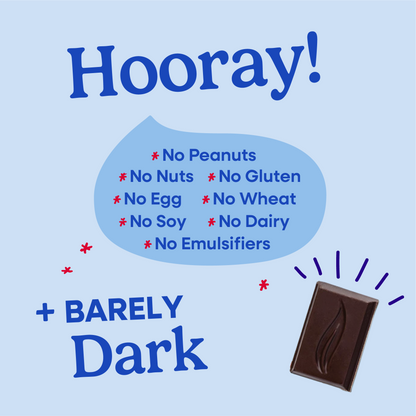 Pascha Chocolate Company - 55% Cacao Organic Vegan Dark Chocolate Bar