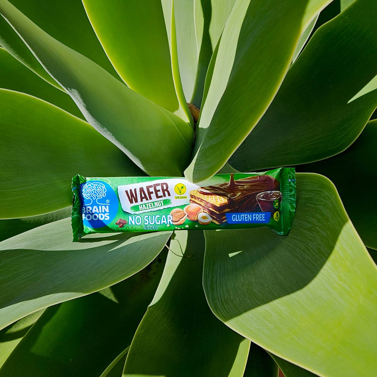 Wilton Mettler LLC - BRAIN FOODS Gluten Free Vegan Chocolate Hazelnut Wafer