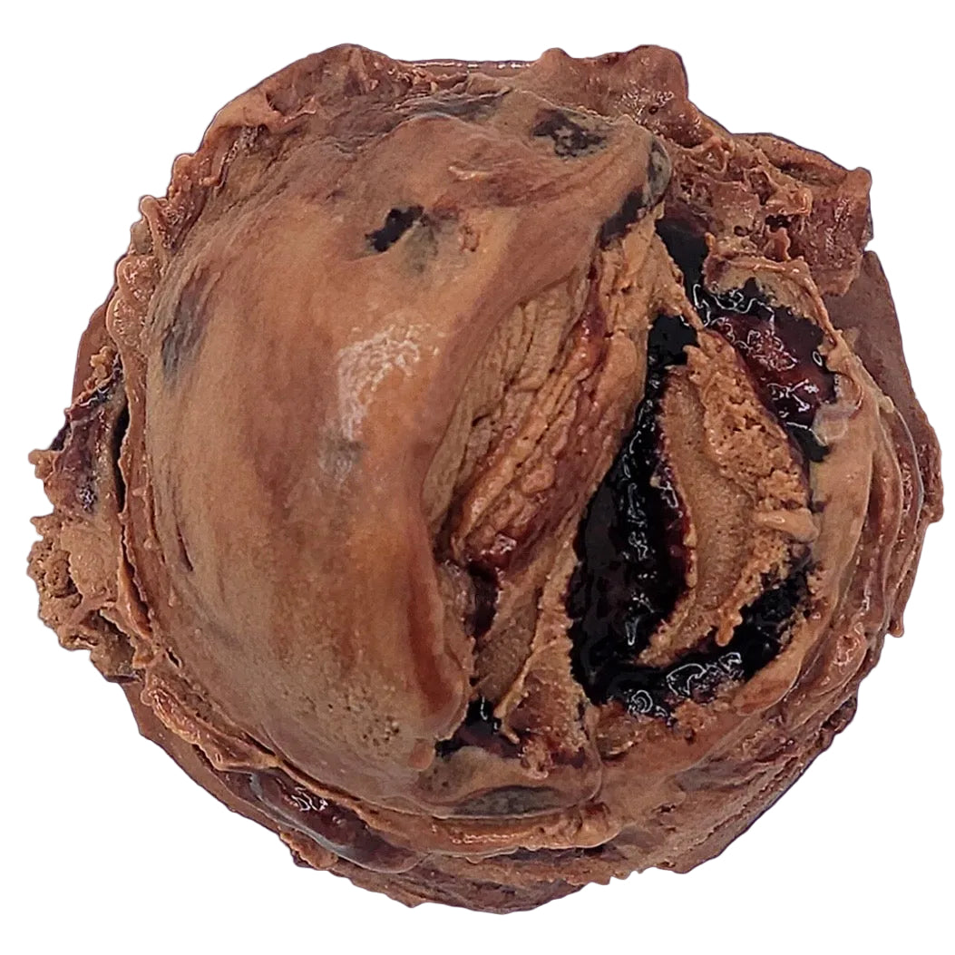 Gatto Gelato - Chocolate Fudge Swirl