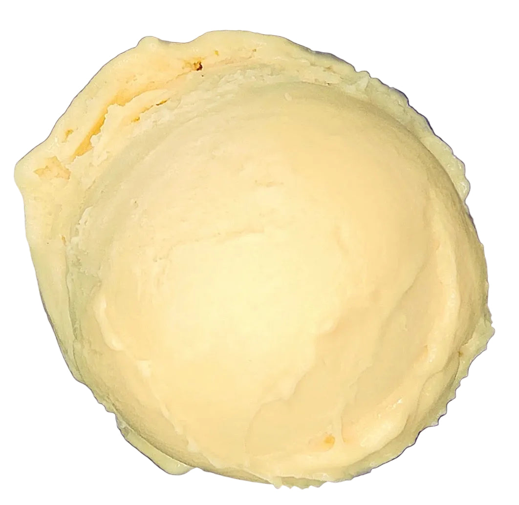 Gatto Gelato - Lemon Olive Oil