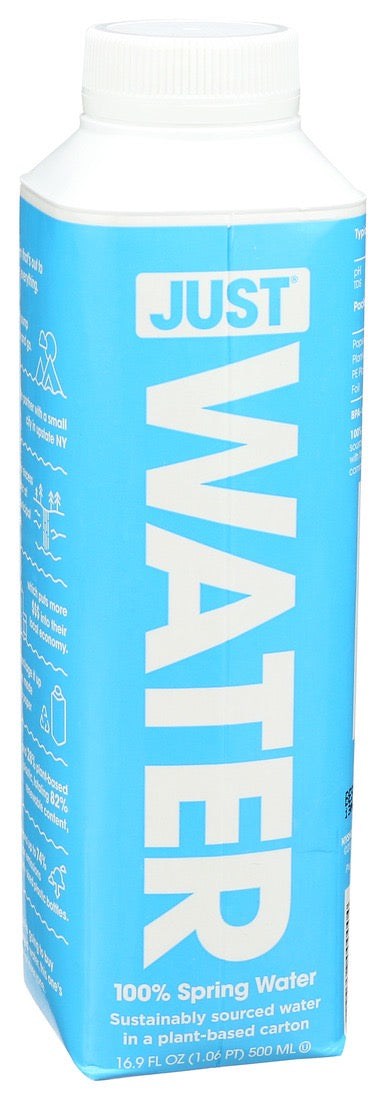 Just Water 16.9 Fl Oz