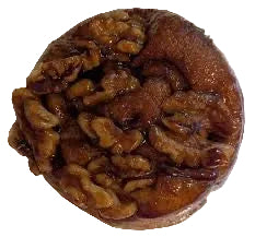 Tipping The Scales - Sticky Bun w/ Walnut or Cinnamon Roll
