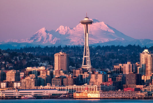 Seattle Area Delivery Instructions and Fee