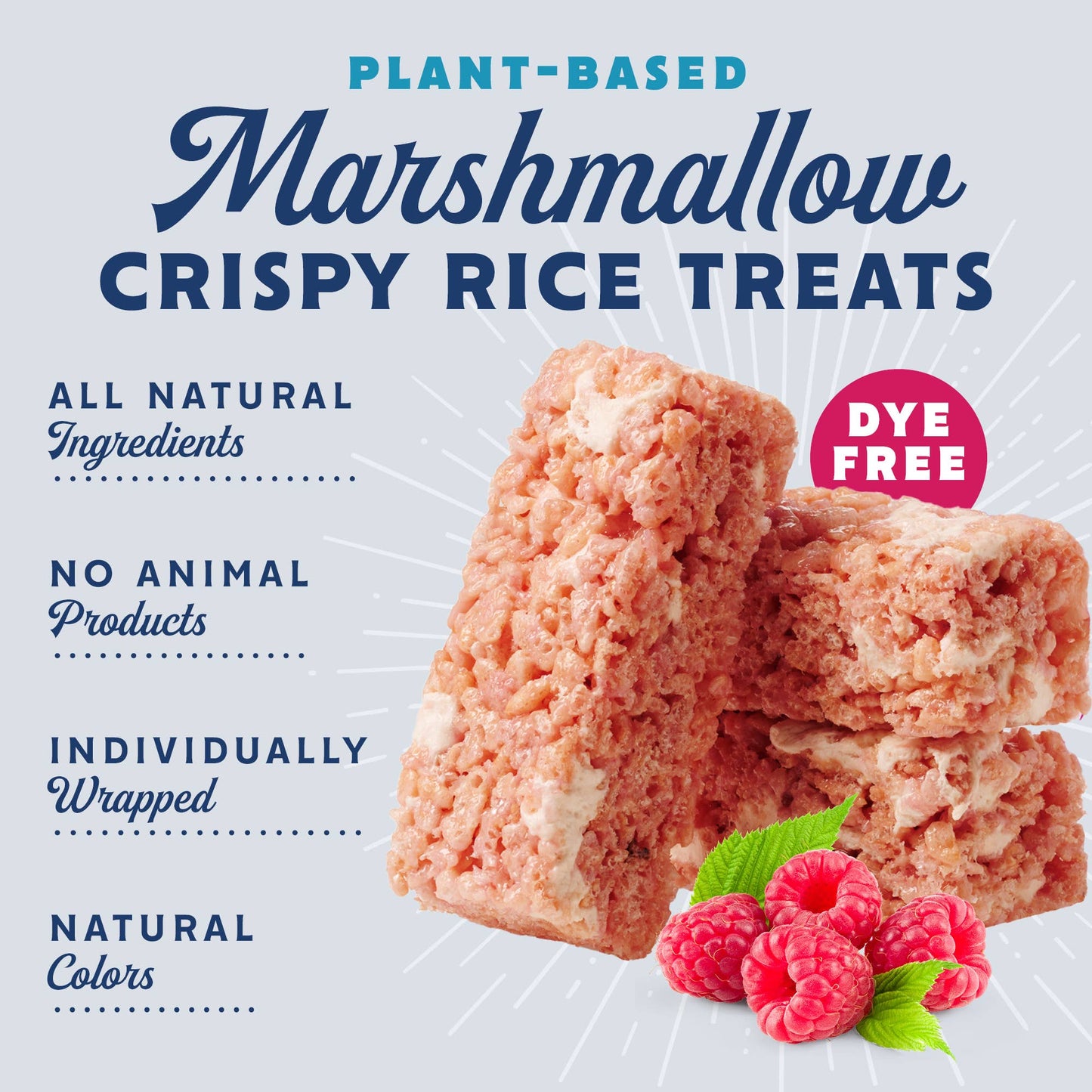 Snackatere - Vegan Rice Crispy Treats Individually Wrapped Box of 8: Vanilla