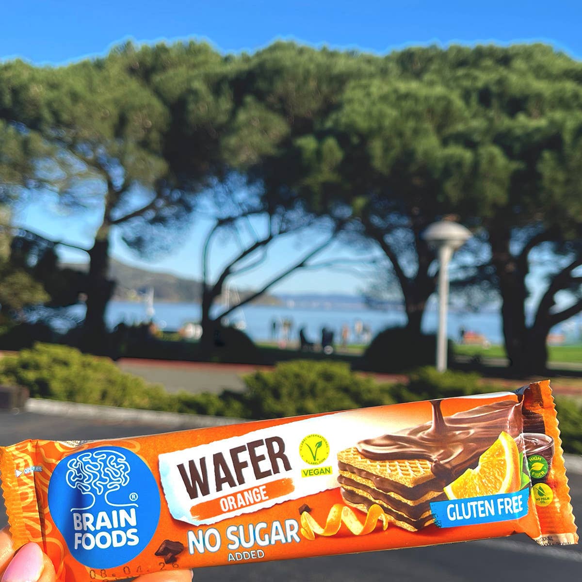 Wilton Mettler LLC - BRAIN FOODS Gluten Free Vegan Chocolate Coated Orange Wafers