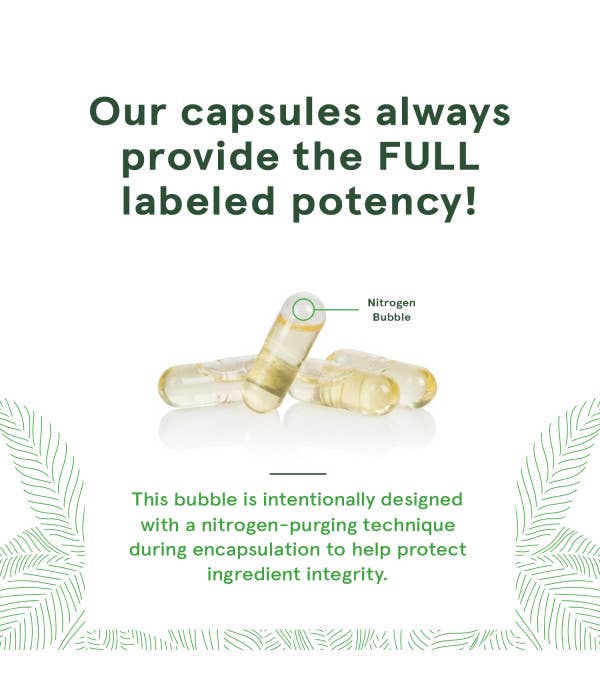 Deva Nutrition - Vegan DHA & EPA - Delayed Release