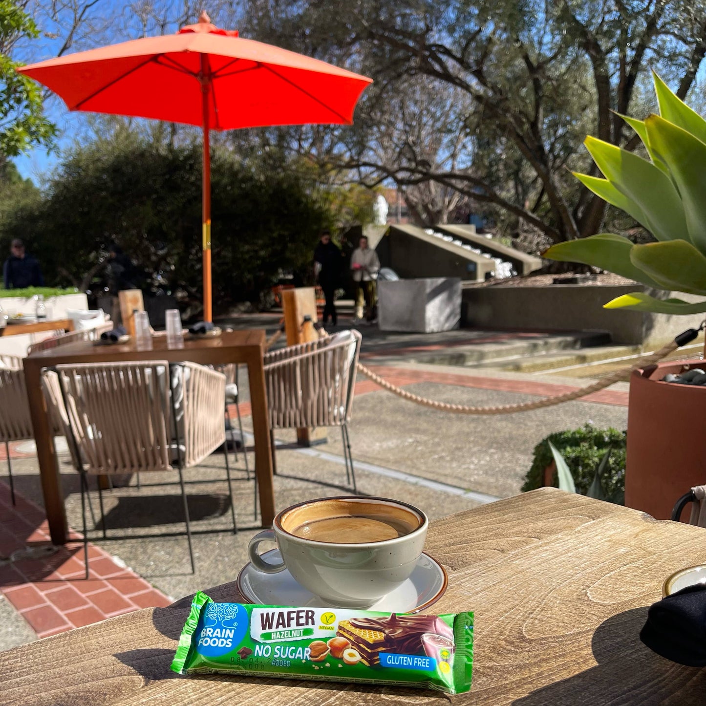 Wilton Mettler LLC - BRAIN FOODS Gluten Free Vegan Chocolate Hazelnut Wafer