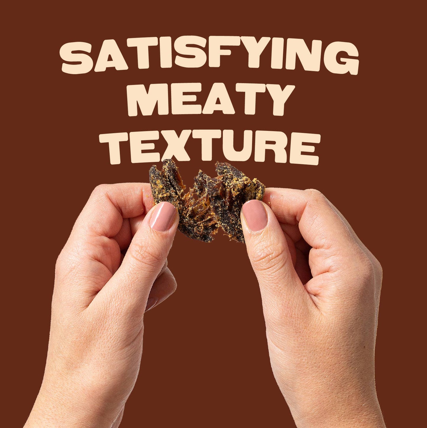 Pan's Mushroom Jerky  - 2.2oz Teriyaki