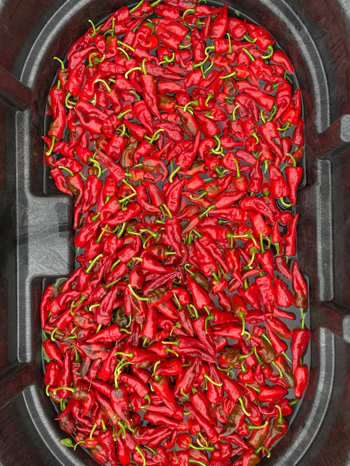 Springs Fireplace - Tesuque