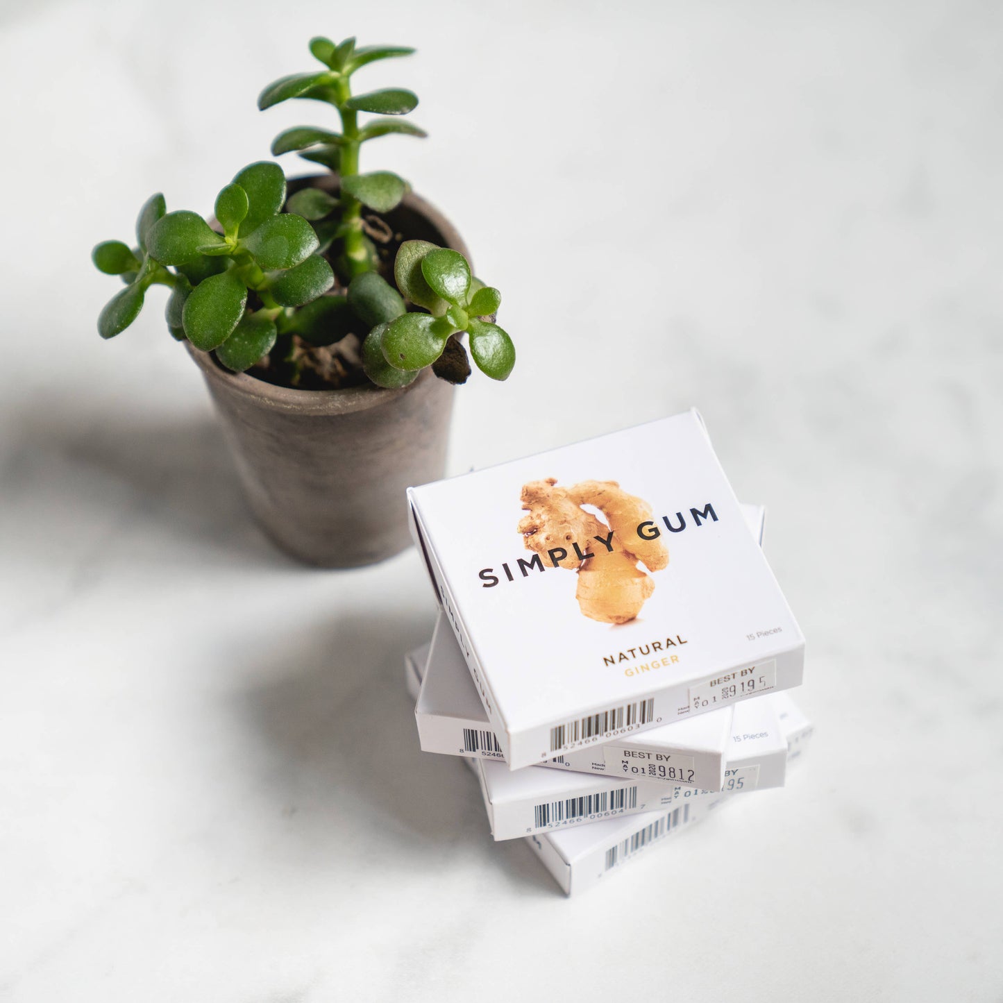 Simply Gum - Ginger Chewing Gum - Natural + Plastic-Free