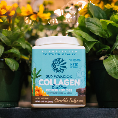 Sunwarrior - Chocolate Fudge Collagen Drink Powder - Vegan, Plant-Based