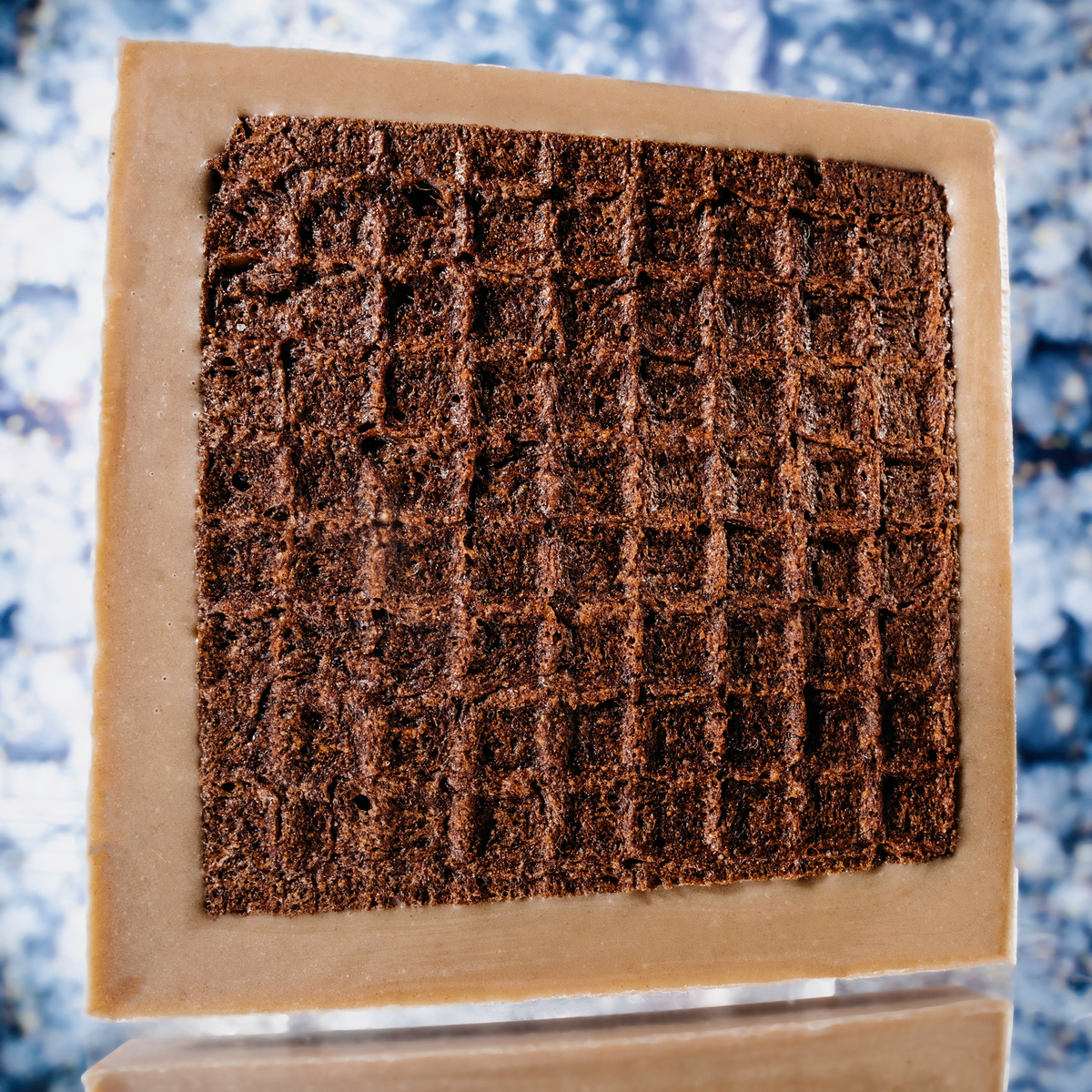 Raaka Chocolate - Gingerbread Dipped Waffle Cone Bar - Holiday Limited