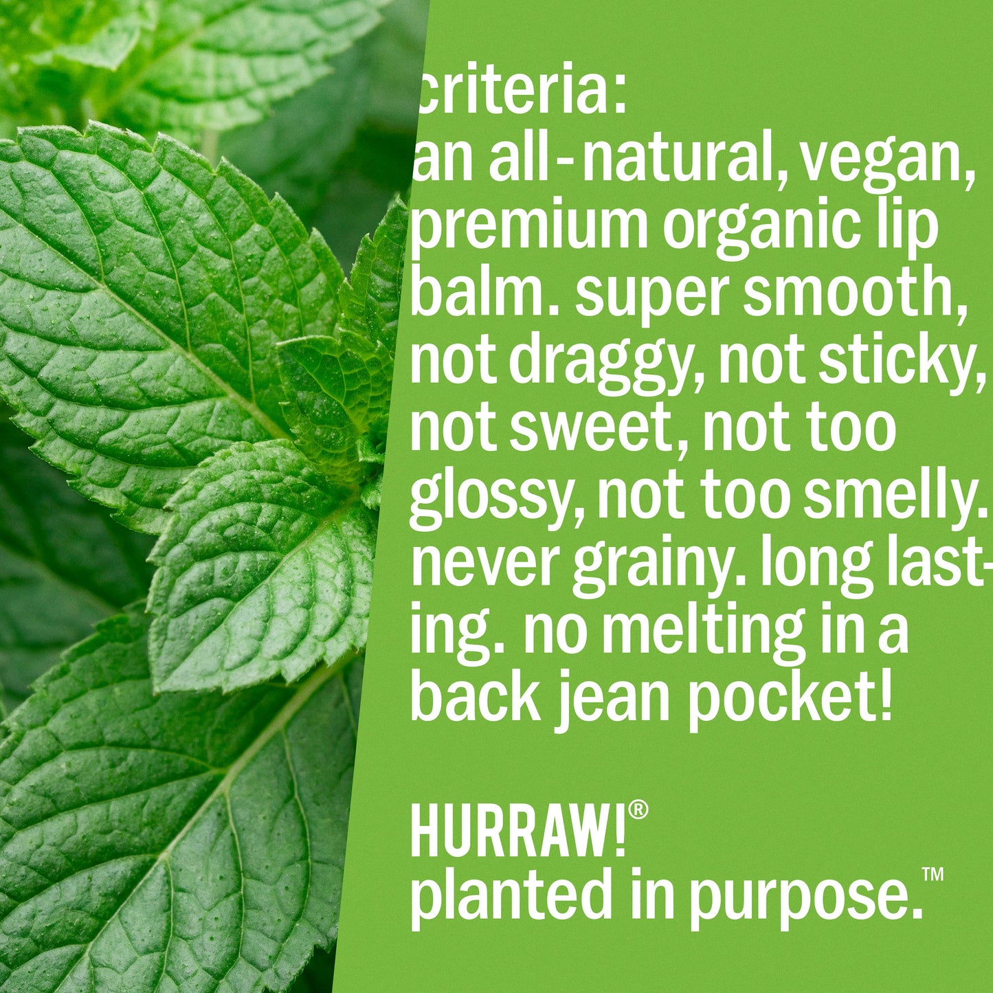 Hurraw! Balm - Hurraw! Mint Lip Balm