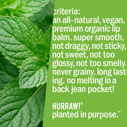 Hurraw! Balm - Hurraw! Mint Lip Balm